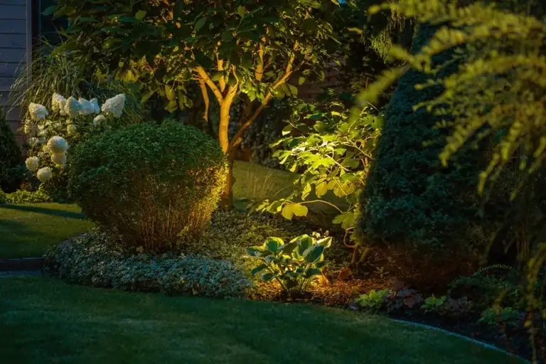 Best Landscape Lighting for Digital Nomads: Remote Property Guide