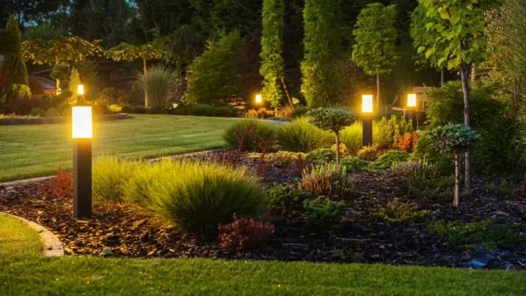 Best Landscape Lighting Options: Definitive Guide